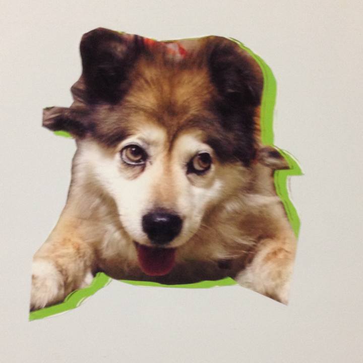 D4958de0 8976 4ab2 b02e b29fff7a5245 1558163985714