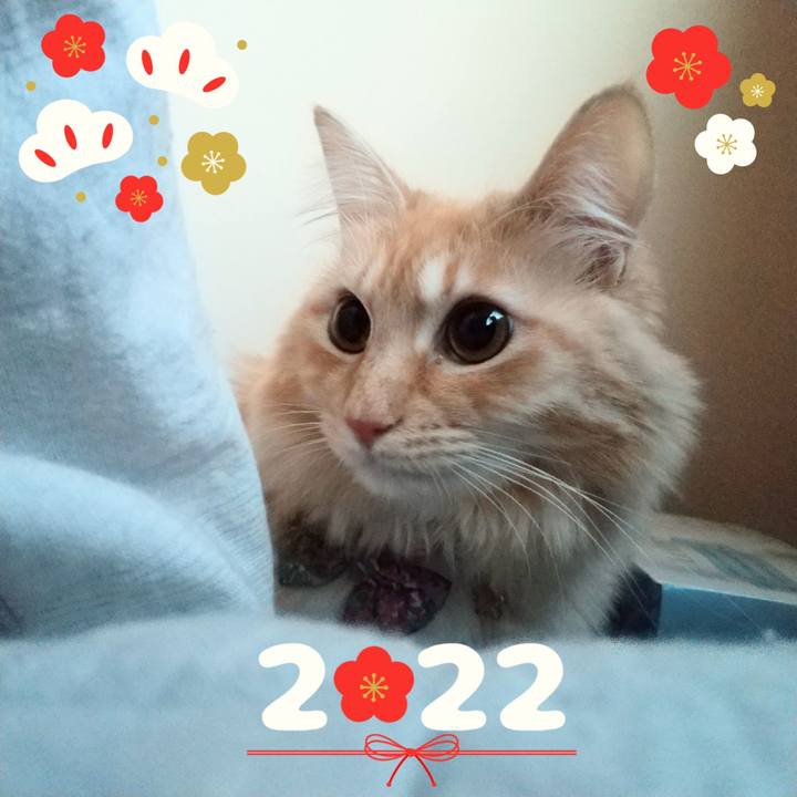 D495a621 b2ef 48d8 98c4 0333db6c007a 1641000787575