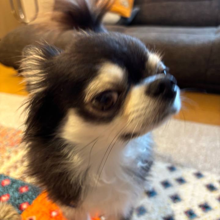 D495fc31 9cc3 41b6 82bc c3e802139547 1720887934294