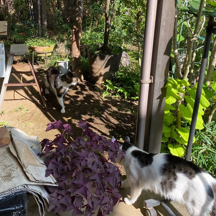 D4961e57 e057 4c4c 9723 69defb07eb4a 1601214651163