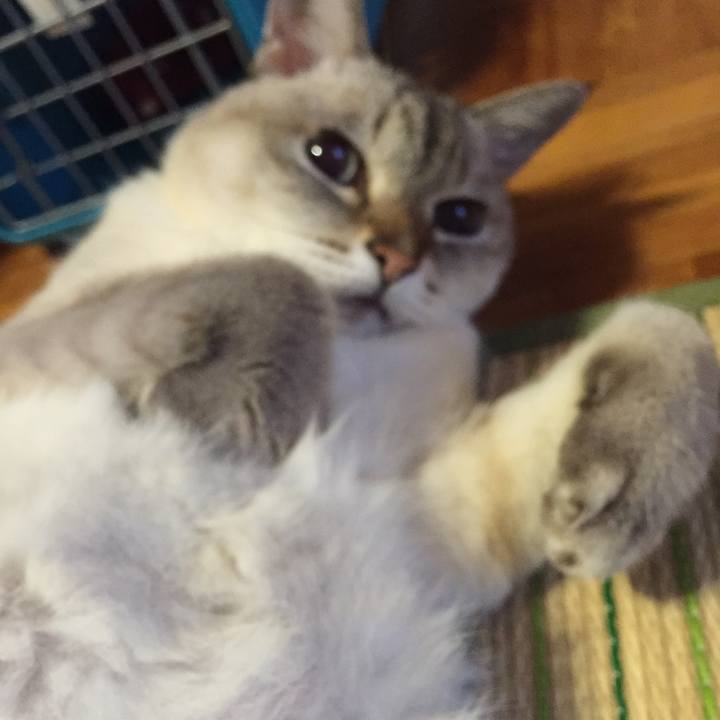 D4966ea2 fbe7 4fb4 82d0 3e1ee5528c83 1533725200059