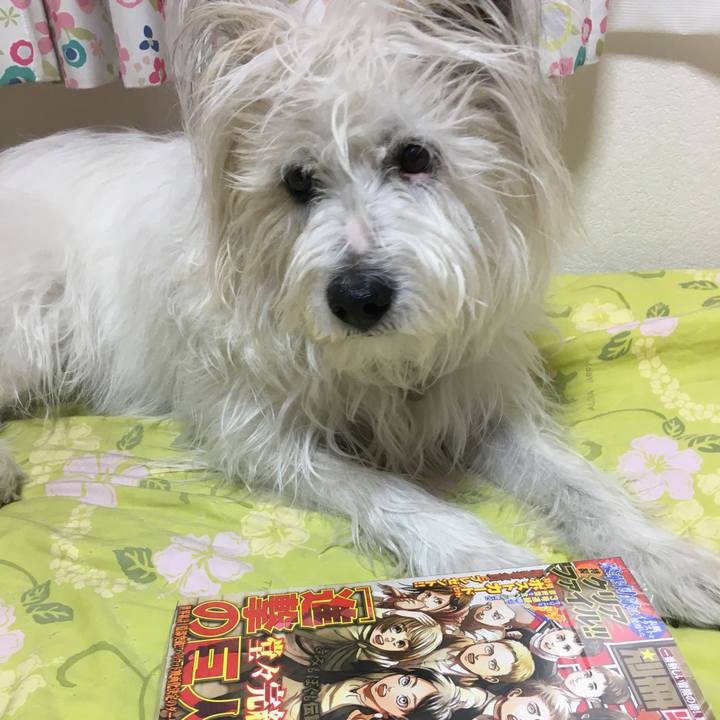 D49673dd 61c1 4f54 85d4 4ad8bce053ff 1618065348291