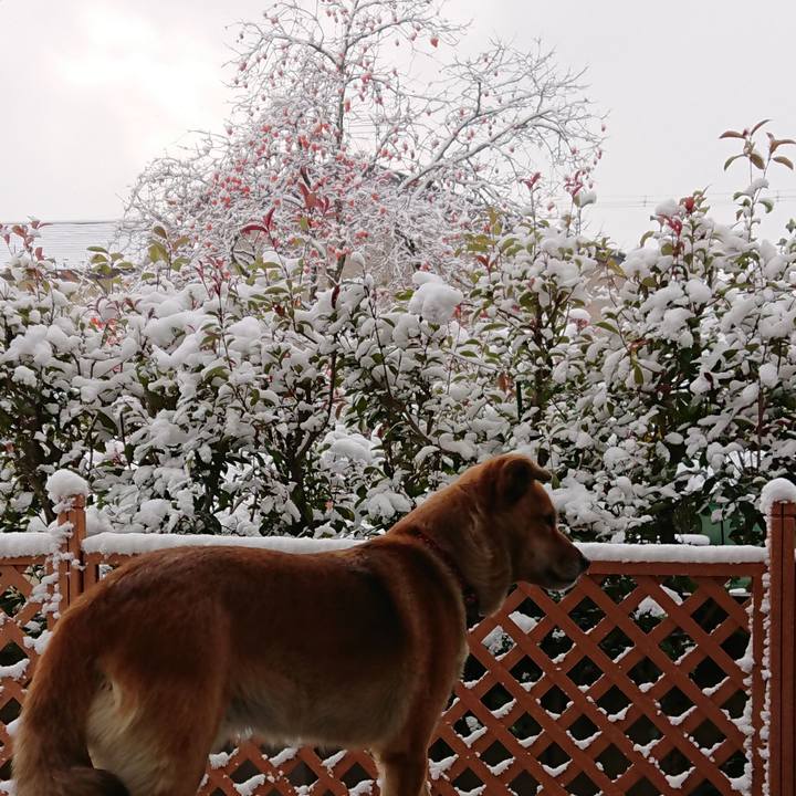 D496bb9b 1a6c 4039 a1f3 8b86563a7cb2 1544356091717