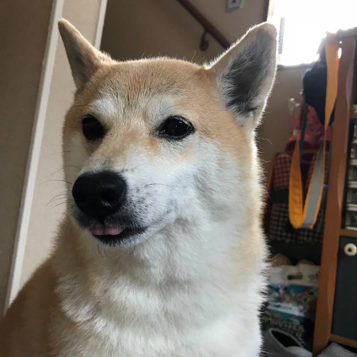 D496cd5e b198 44f2 8d01 018fb5fe8dd2 1529645139271