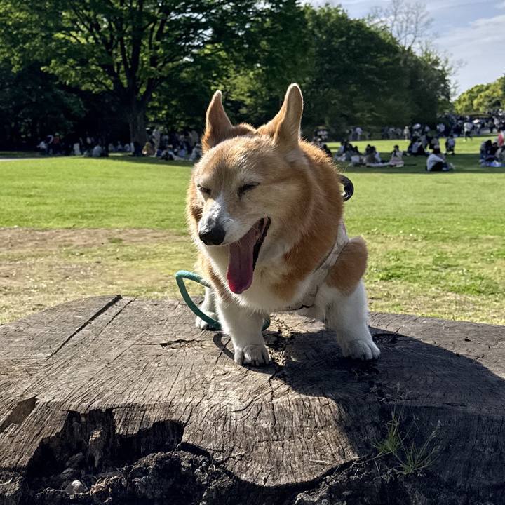 D497d654 7d3d 4137 a707 83977830974c 1776510426938