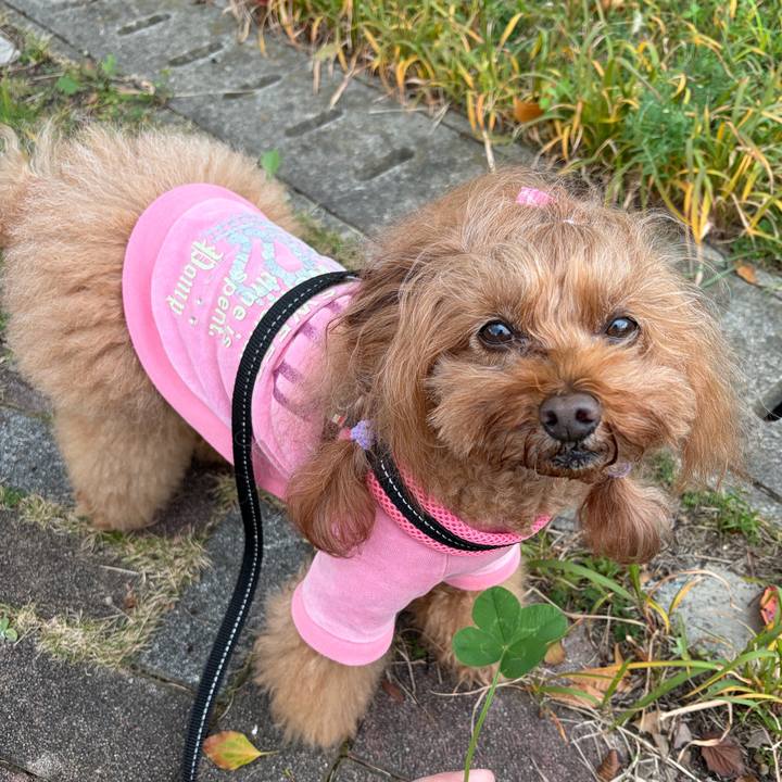 D497f8fe af9e 4a6a b548 716ec2f4ccac 1764549558329