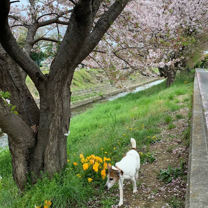 D49810f4 cc4c 4542 9fa8 3265600f869e 1617501165392