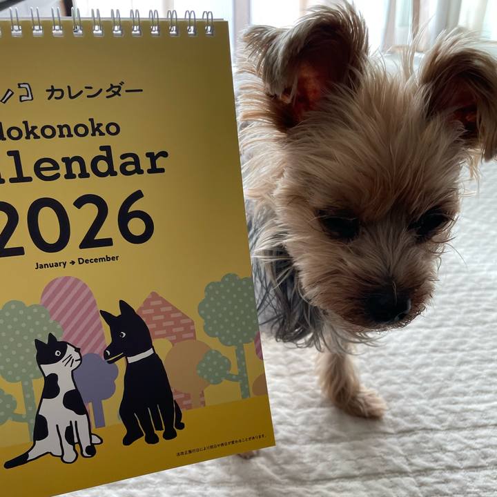 D498168c a32a 4365 85d6 48c608434b8f 1764986643413