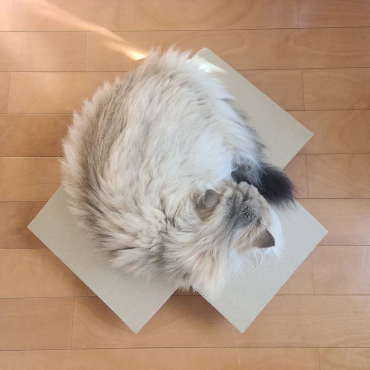 D49853ee 10f5 4c12 ae38 b411d241769a 1670984505741