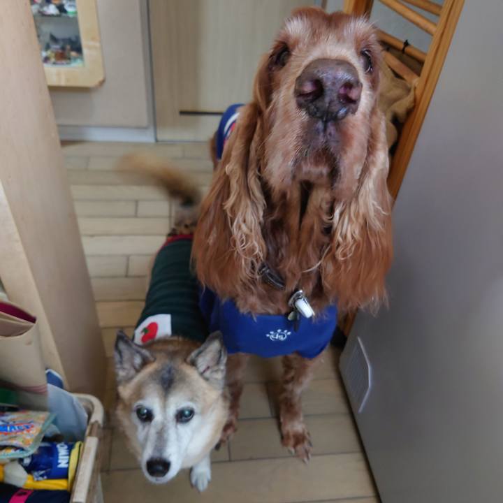 D49864f7 95cd 433c 8e2b febed9b9a99a 1703080352610