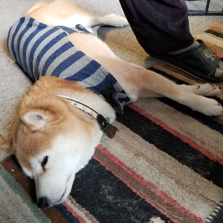 D4987aed 73d6 40a8 b245 e896b08a1767 1612567172446