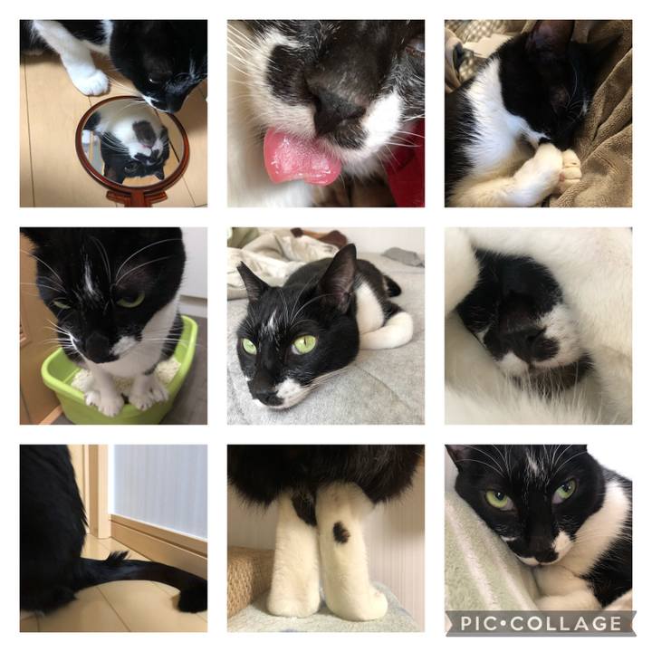 D498ab22 b262 4d96 93fa 665f741d6262 1625408638447