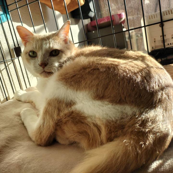 D498c01a be2d 41a3 8473 8b0cf195c8e6 1638054068302