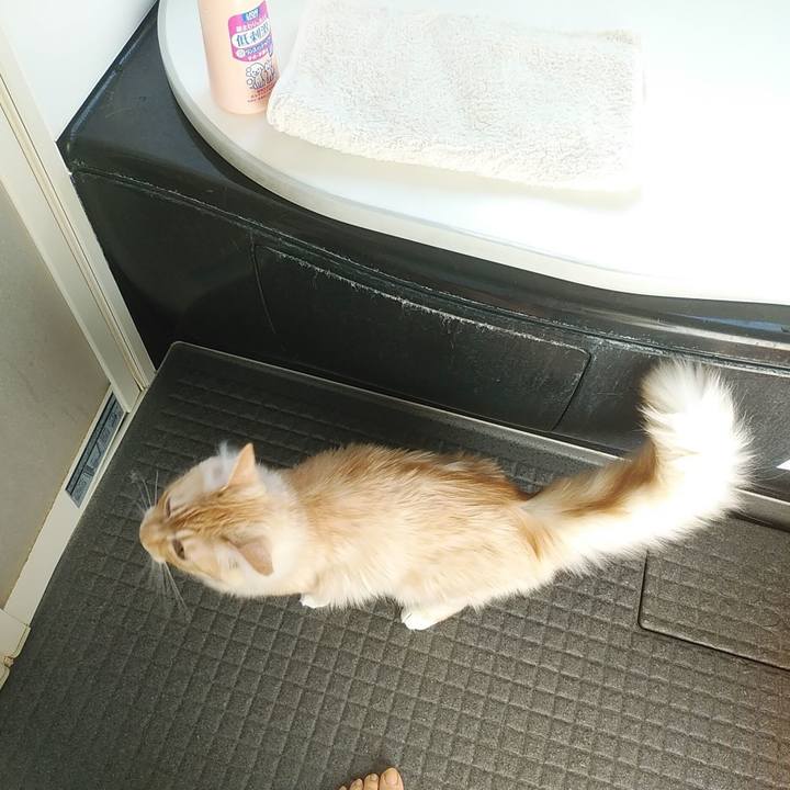 D498ca30 77cb 43cb b1d9 8394cec7be94 1618730246717