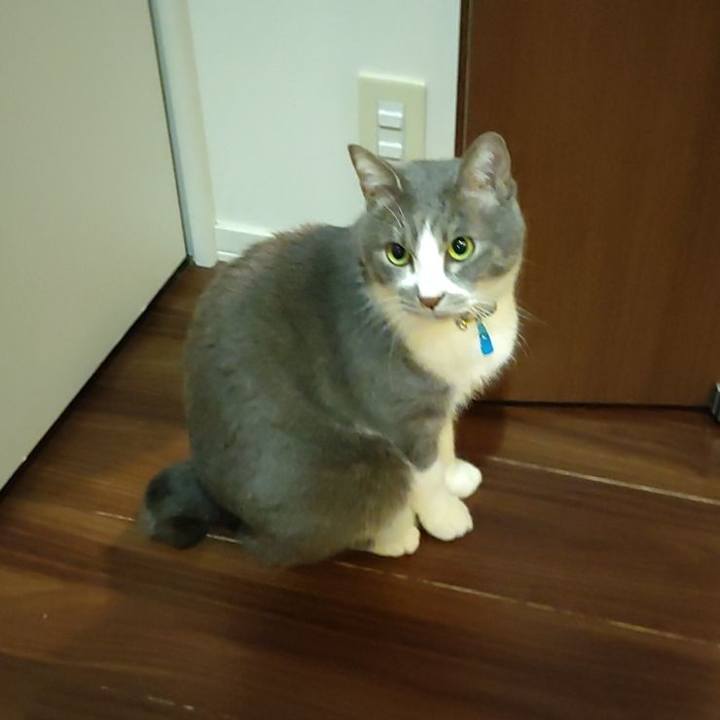 D498cf67 8ca0 40c7 8ca4 049f92247bbb 1707089212561