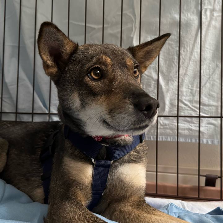 D4992831 e23e 4b17 847f 6247ac35409c 1763472594065