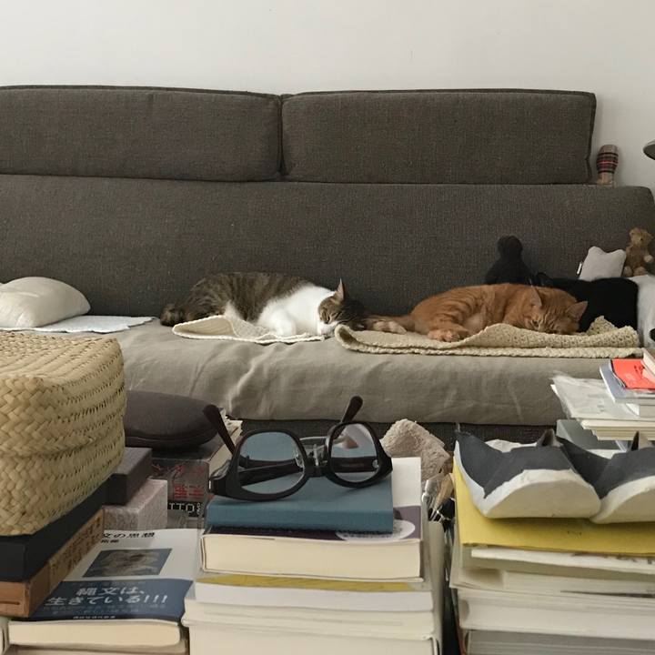 D4993e74 9d9f 4abb 8cb0 e4c2bc447b93 1528349641897