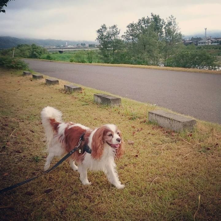 D499733a 7155 4bd0 87d9 d6a333cdc8b1 1533686707547