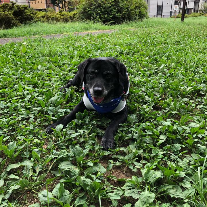 D4997d1f c7d9 4e39 a8c6 50f5a16e1e60 1597649341113