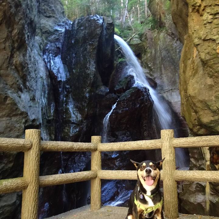 D4998ccc 8f41 420b 9e40 a492a33f37bd 1637425268668