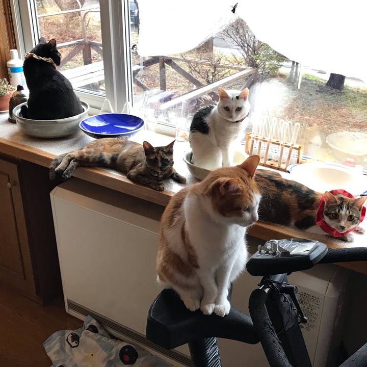 D4999b2a a45b 4ee9 b25a 22e3dc6c9929 1619821817169