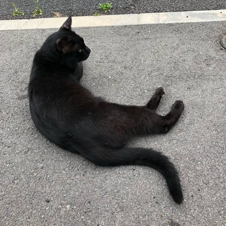 D499ae05 5d61 4df4 a4bf f1474d3064d9 1527777622413