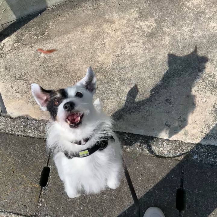 D499b2d0 1a96 4c5b 93b6 4342ccbcb2d0 1751325252997