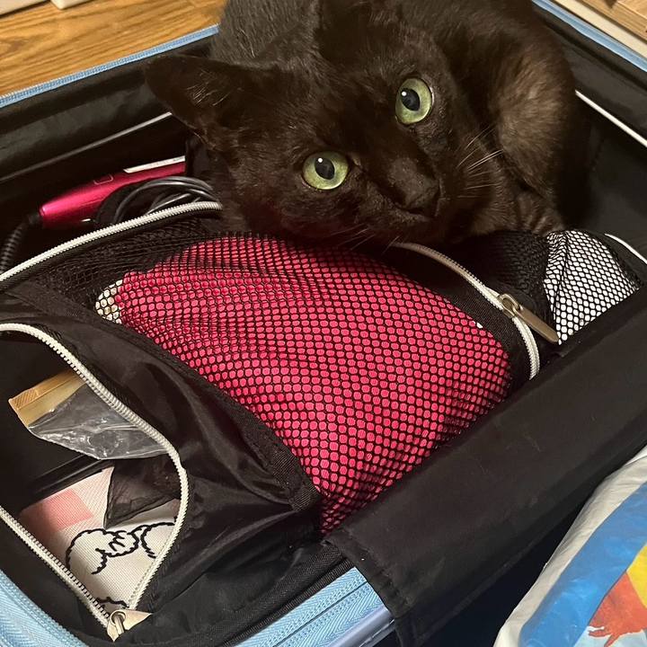 D499caba 2a16 4680 8a5c f440bfd5e4d4 1750111879131