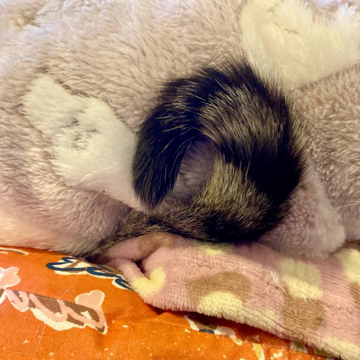 D49a261a dc79 42fb 8724 ba107607f2f1 1706394942321