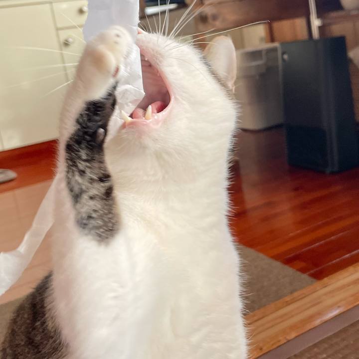 D49a267a 1999 40df be9c 973410aebf40 1766555076319