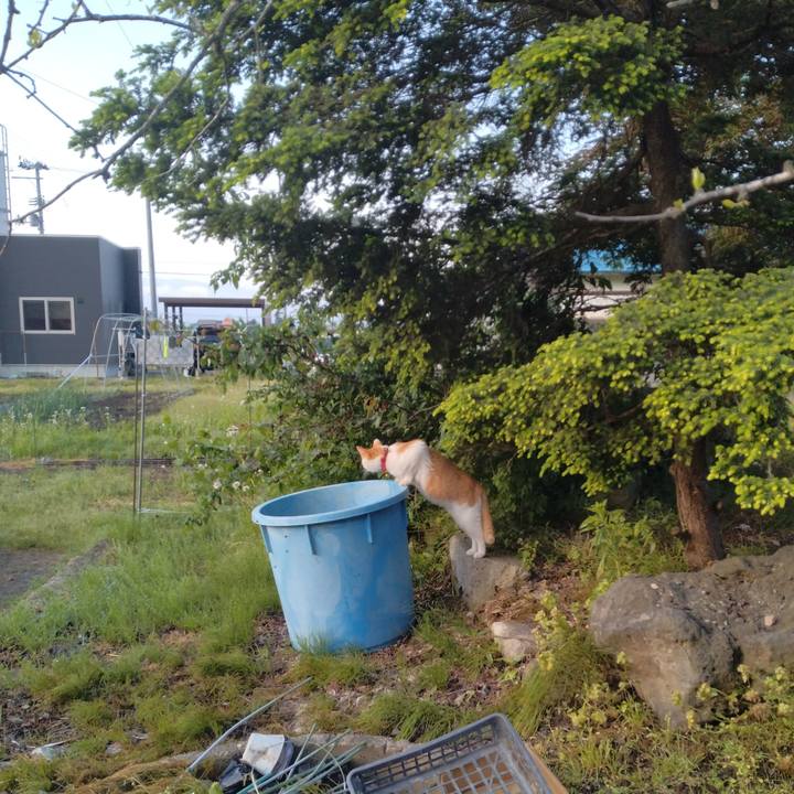 D49a3e00 df04 4a8f 987b 1a62ae31e73e 1747968429689