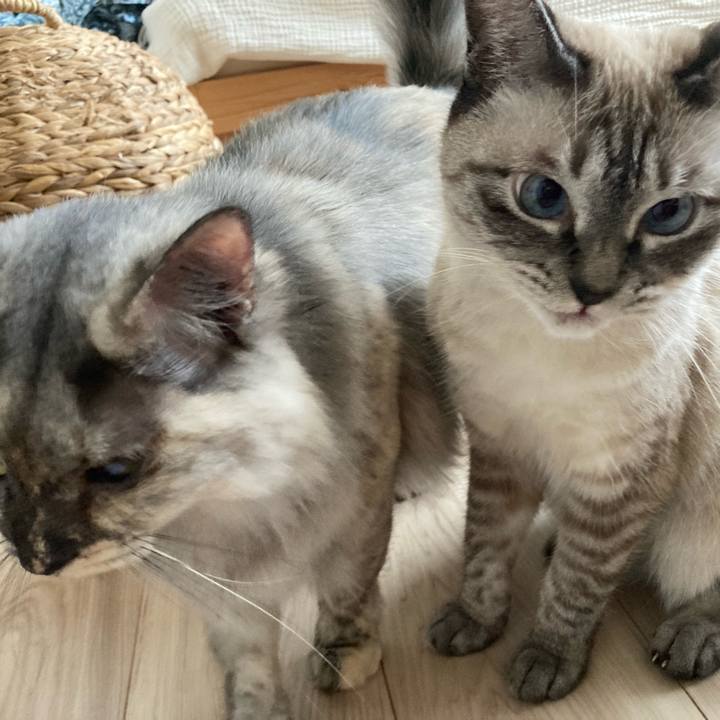 D49a5e98 d99f 4ec7 a7d5 8640abc2233a 1758500293922