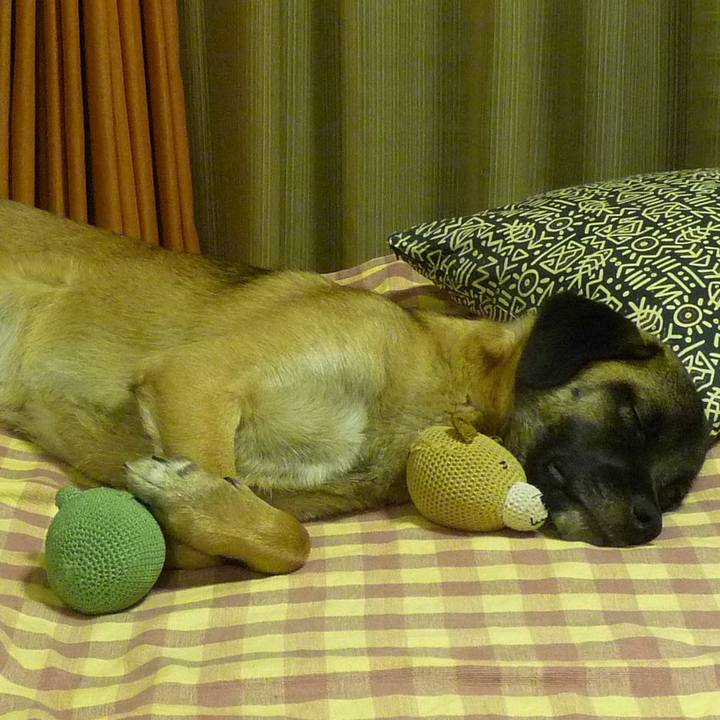 D49a8500 4411 40ac 9cac 0bb4359c2415 1576623264535