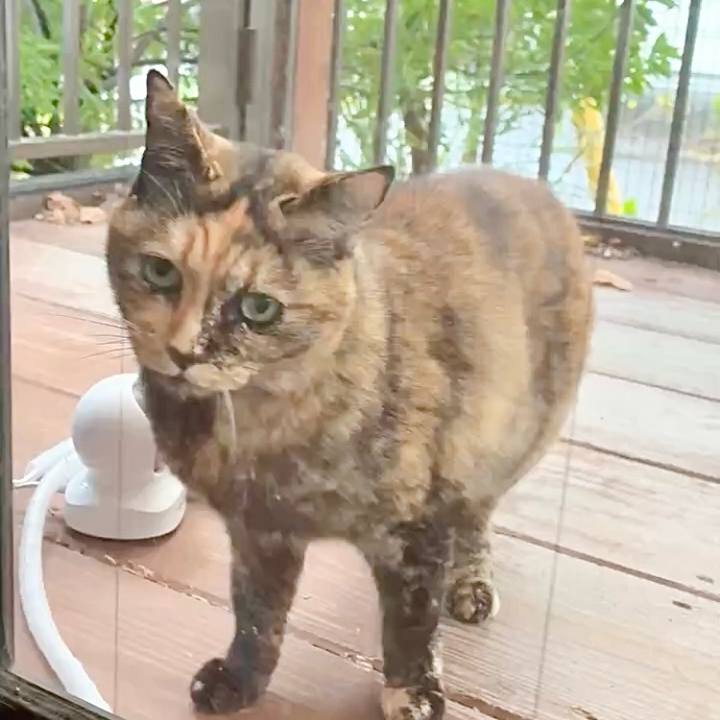 D49aabc7 567b 4e1b a681 f9ddaef33798 1764037712997