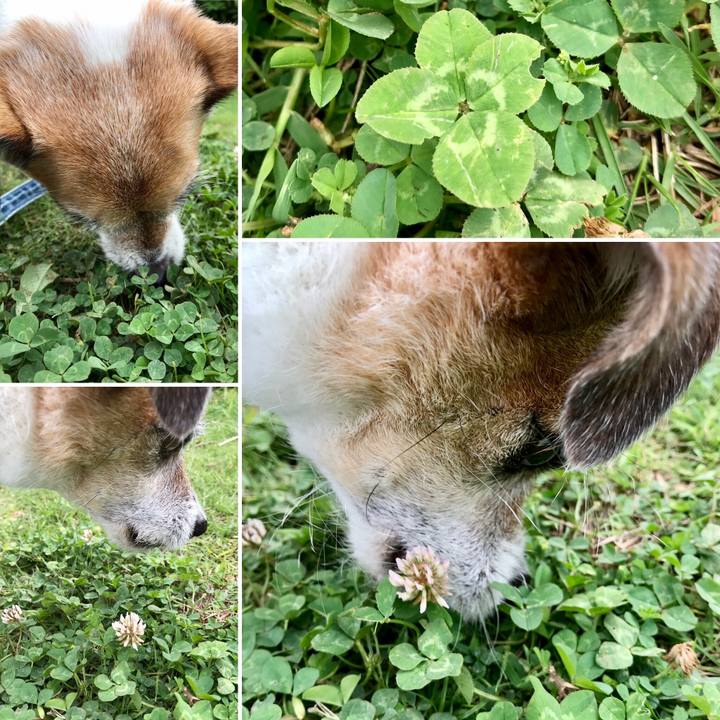 D49abe25 b99f 4e92 9415 4d3b06f069ef 1622249104101