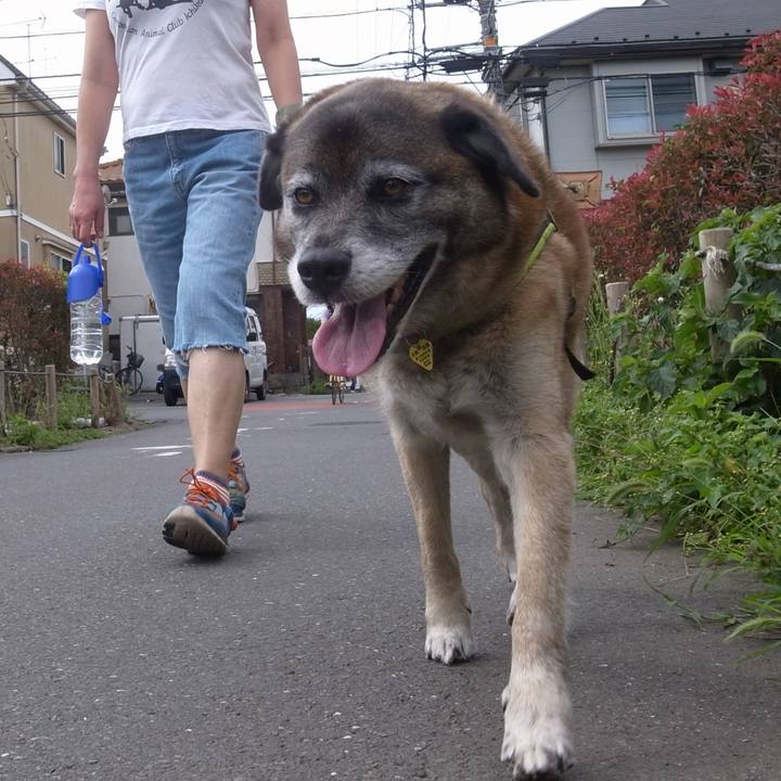 D49ad9d2 593d 4511 b221 49196cf50bda 1587087877474