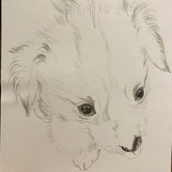 D49ae901 6f78 4990 a83e 0849582d0715 1630073543312