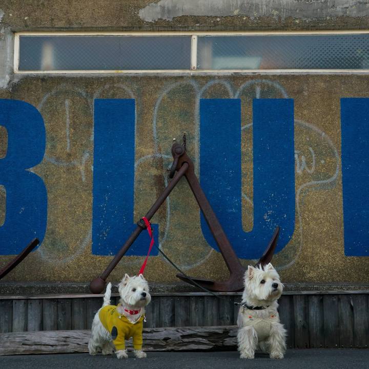 D49aeb1c f9fc 45f2 bc41 5bcf08c5ec62 1515884808216