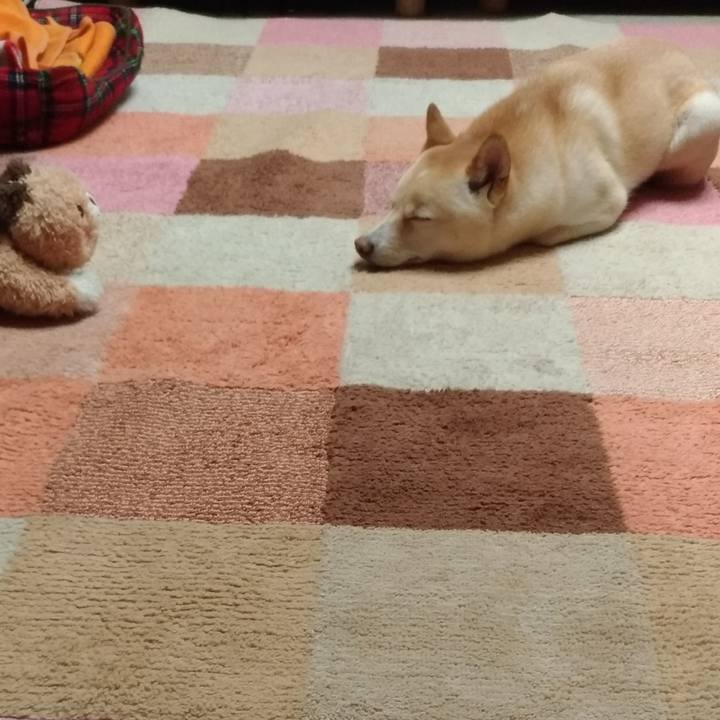 D49afa18 7364 4078 88e2 e145ed963051 1540965028887