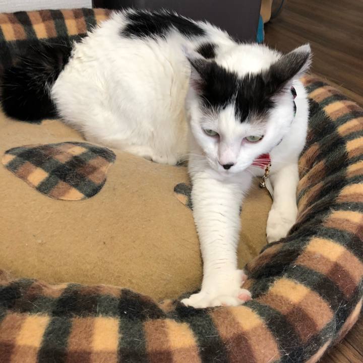 D49b11b4 7376 4dfc be9e 6b1d813332b9 1528241958889