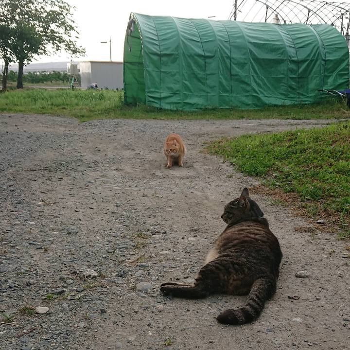 D49b4941 f7fa 4179 a749 6808eb5db4a8 1656019281684