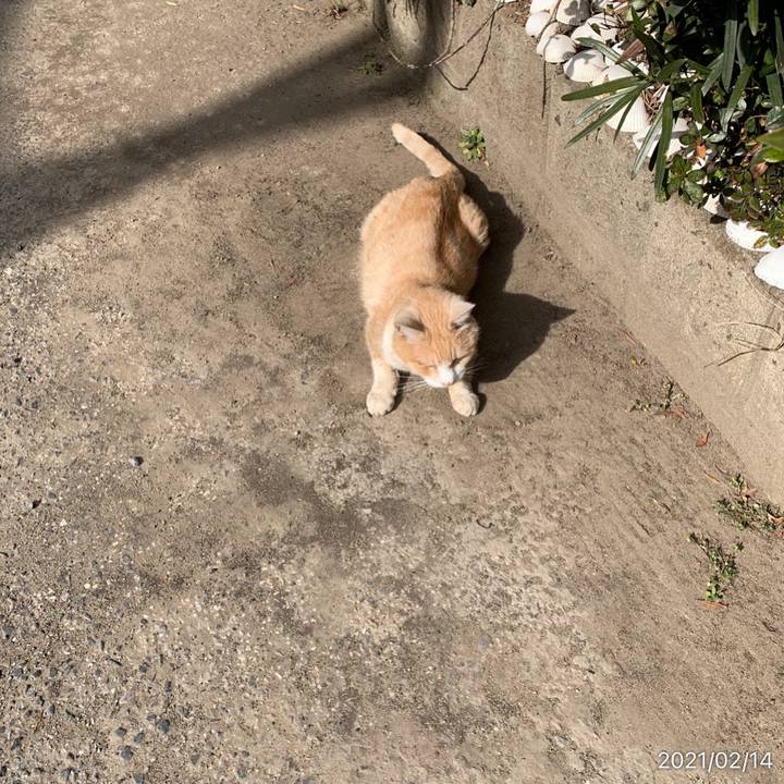 D49b4d30 ac07 4943 a0ee ca342094594d 1613276622557