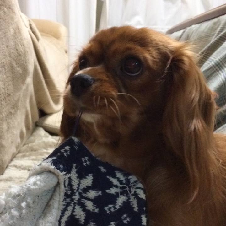 D49b7698 18f0 4284 a028 6ef75189effe 1515280018362