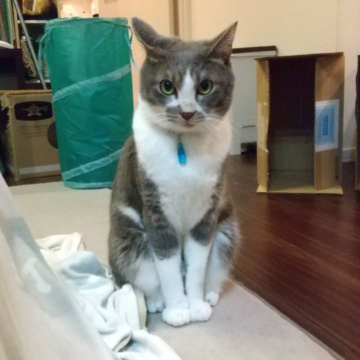 D49bd6bd feff 4f1f bab5 e9acff15e88d 1636194416044