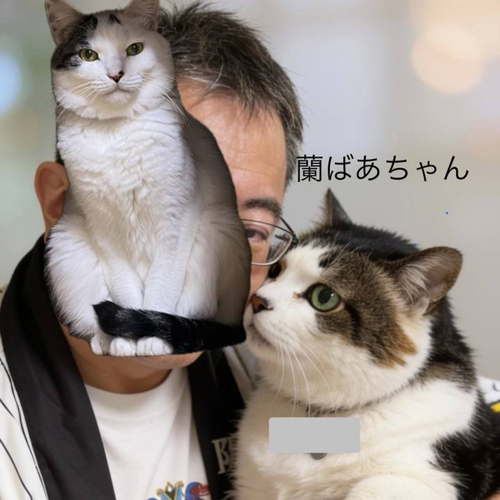 D49c790f 7b6f 4415 82ab d90cd9258b95 1784034428490