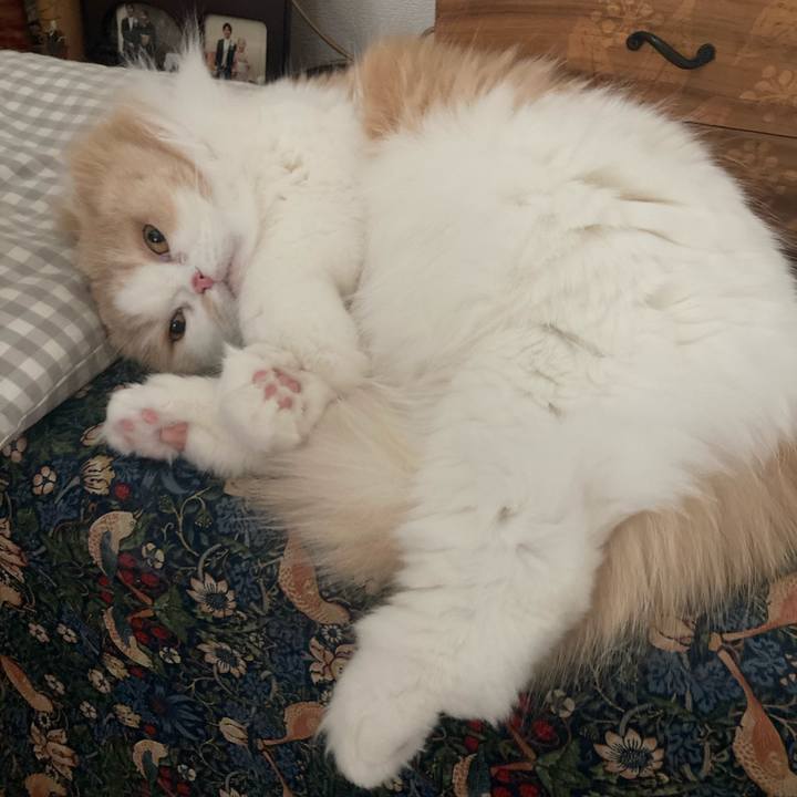 D49cbb40 d95c 4d2d b523 da637d02d93a 1611377285623