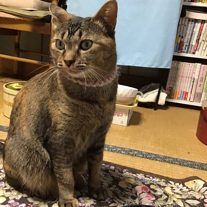 D49cc7b6 a437 4fb7 a7dc f2caa999994d 1654588380966