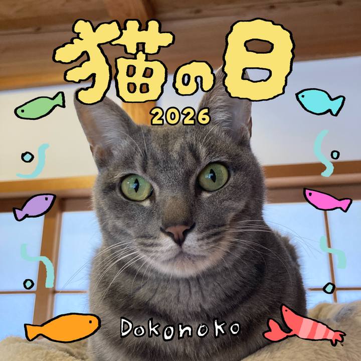 D49cccfb d4b0 49e5 a5ae fcf5106ae3cd 1771726974662