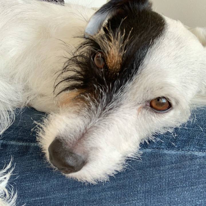 D49ccece a750 4e8b bfc3 8e1de0399203 1582267427616