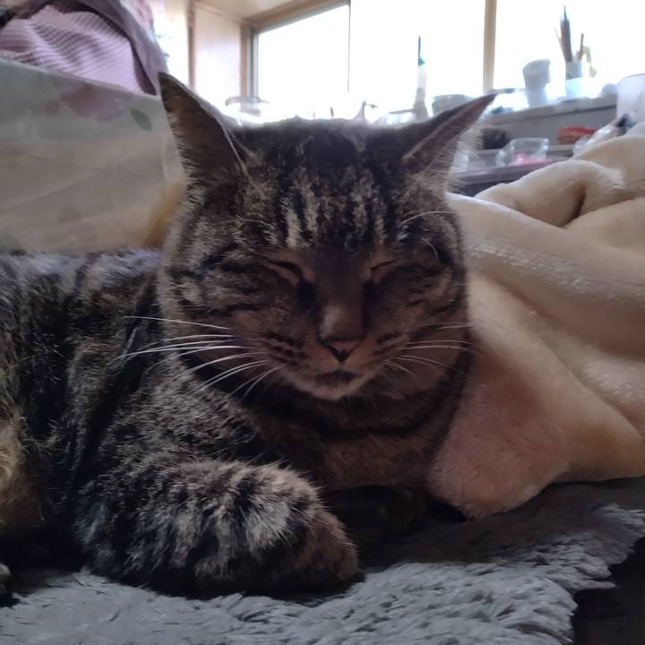 D49ceb98 e3d6 44ce 82cc 141ef7bcb2ad 1671173956152